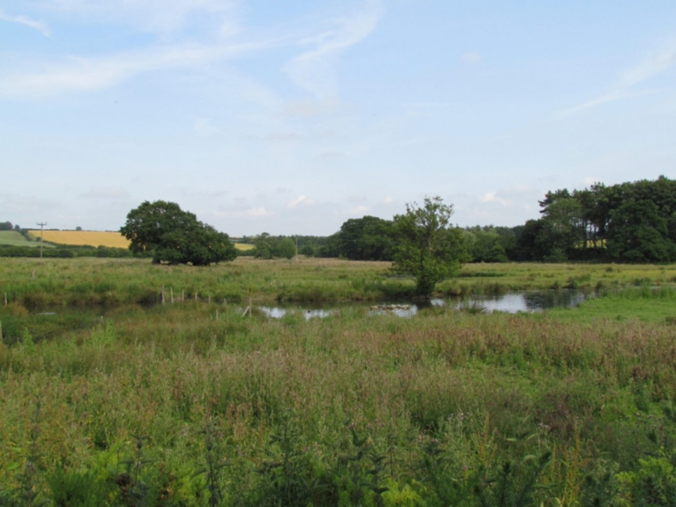 Abbey Farm