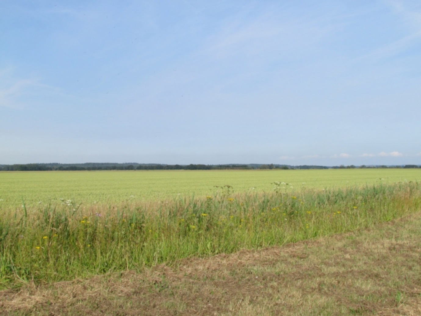 North Wootton Marsh