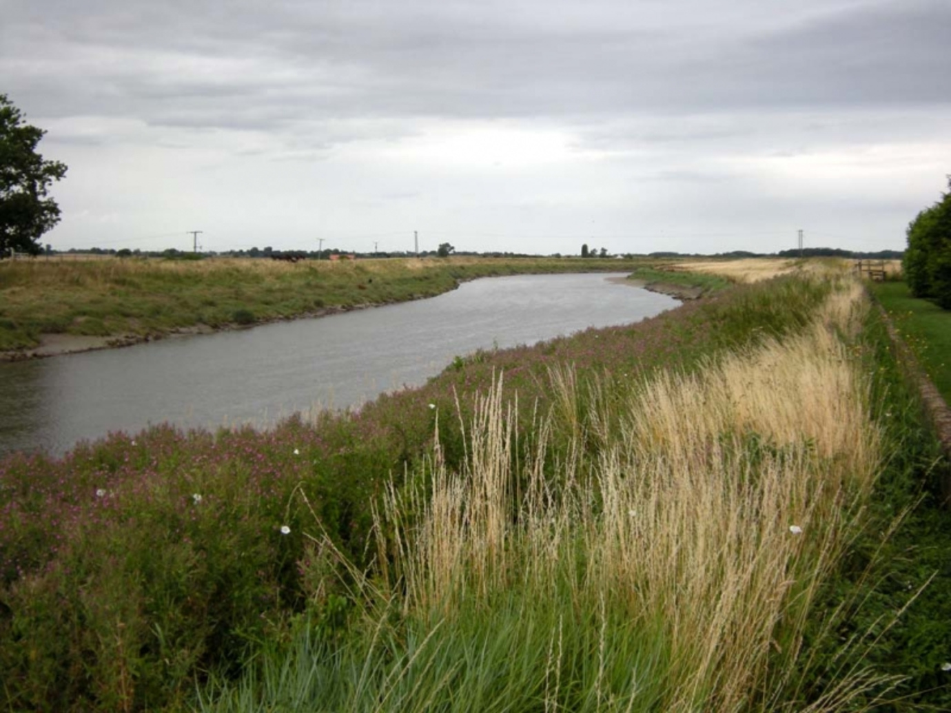 Great Ouse River, Downham Market