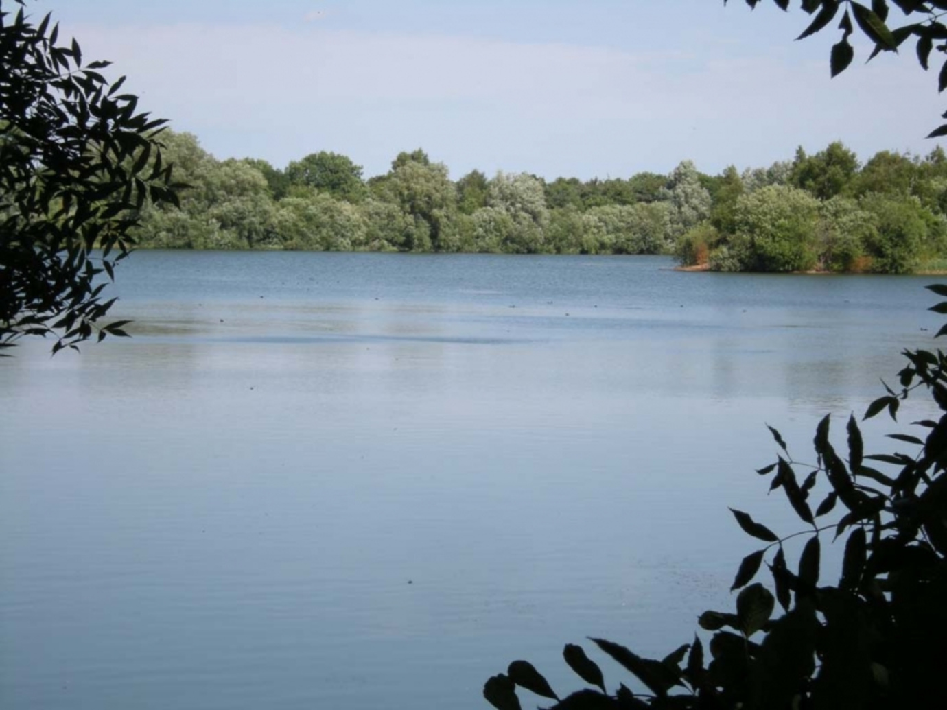 Tottenhill Gravel Pits