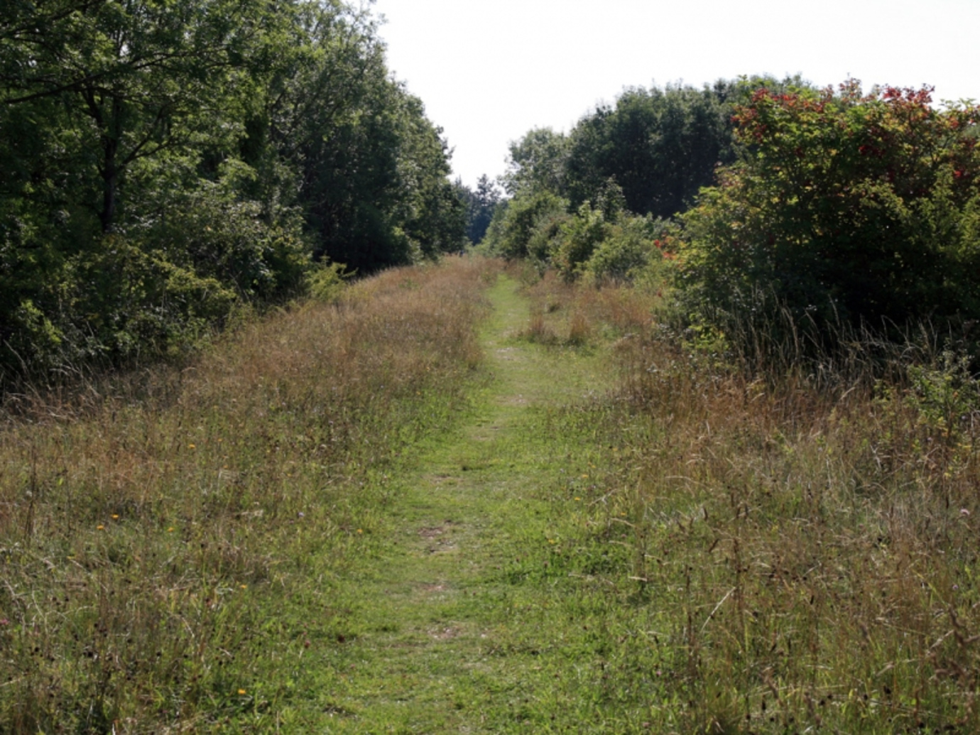 Narborough Railway