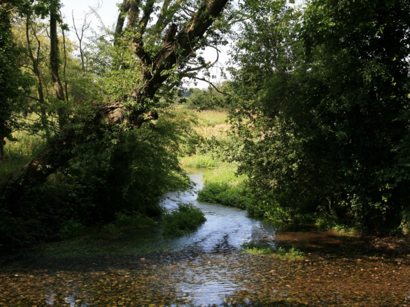 River Wissey at Hilborough